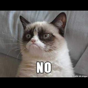 Meet your Posher, Richard